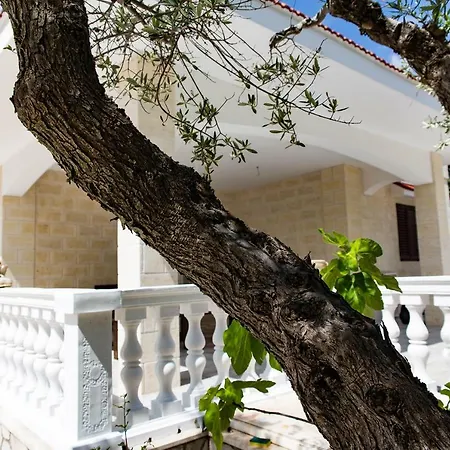 Flats Campagna Country house